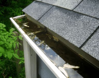gutter full with leaves and water