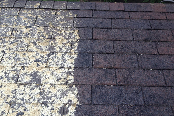 Lichen before and after photo.