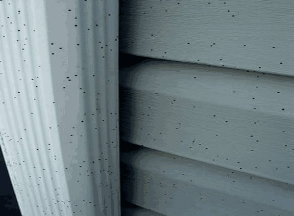 Artillery Spores on gutter and vinyl siding