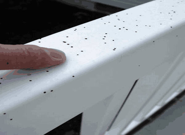 Spores on vinyl deck rail.