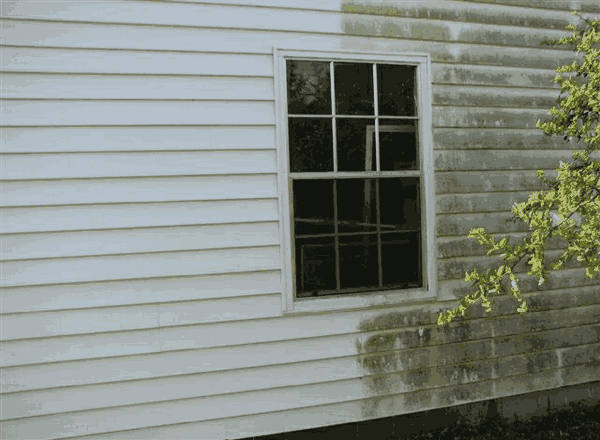 House Washing before and after