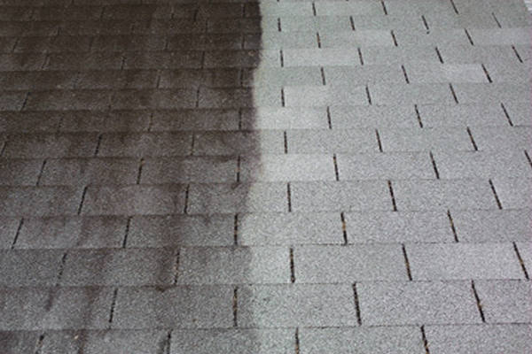 Close up of roof algae before and after